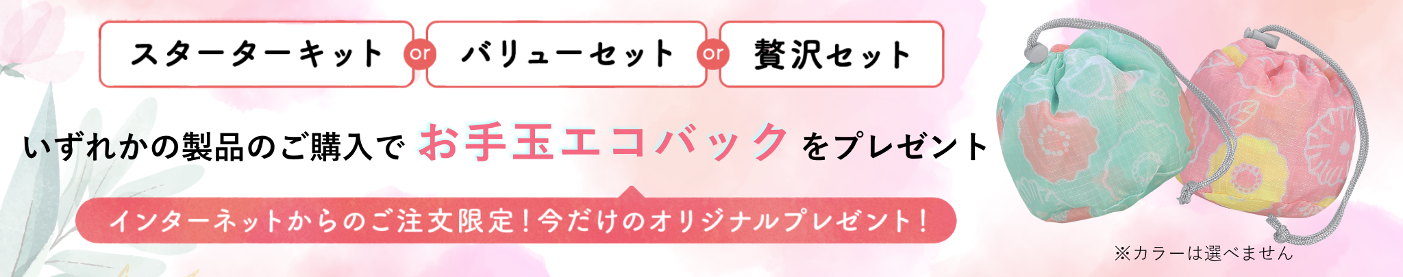 ポーチプレゼント