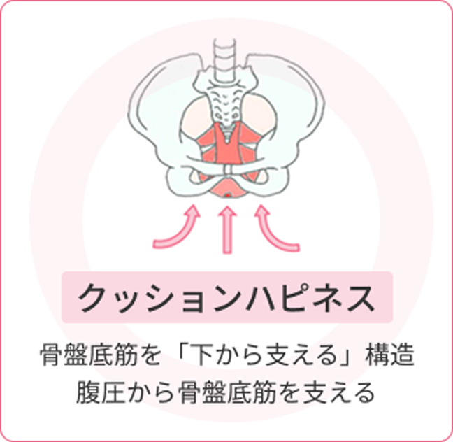 フェミクッションハピネス