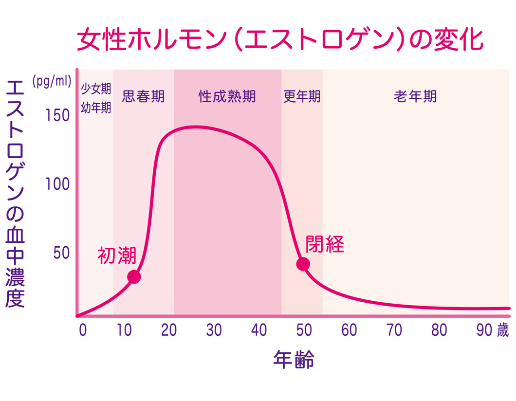 骨盤臓器脱の原因②：加齢による女性ホルモンの減少